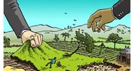 Cá nhân chuyển mục đích sử dụng đất từ đất không thu tiền sang đất có thu tiền sử dụng đất hoặc thuê đất có quyền, nghĩa vụ gì?