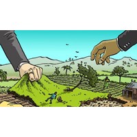 Cá nhân chuyển mục đích sử dụng đất từ đất không thu tiền sang đất có thu tiền sử dụng đất hoặc thuê đất có quyền, nghĩa vụ gì?