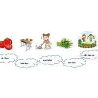 Bộ phiếu bài tập ôn ở nhà môn Tiếng Việt lớp 1 có đáp án