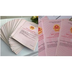 Bao nhiêu tuổi được đứng tên sổ hồng, sổ đỏ theo Luật đất đai 2024?