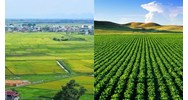 Mẫu phương án sử dụng tầng đất mặt của đất mới nhất
