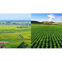 Mẫu phương án sử dụng tầng đất mặt của đất mới nhất