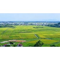 Thửa đất là gì? Thế nào là thửa đất chuẩn?