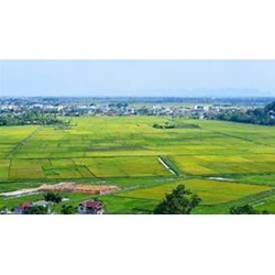 Thửa đất là gì? Thế nào là thửa đất chuẩn?