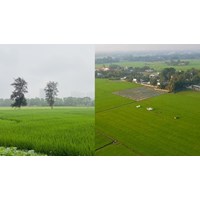 Mức phạt lấn chiếm đất cao nhất là 1 tỷ đồng từ 04/10/2024