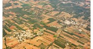 Bồi thường về đất khi Nhà nước thu hồi đất nông nghiệp của tổ chức kinh tế, cộng đồng dân cư, tổ chức tôn giáo