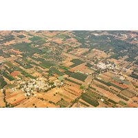 Bồi thường về đất khi Nhà nước thu hồi đất nông nghiệp của tổ chức kinh tế, cộng đồng dân cư, tổ chức tôn giáo