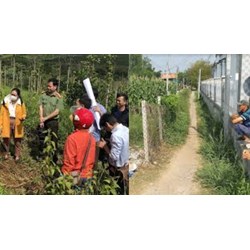 Mẫu đơn khiếu nại lấn chiếm đất nông nghiệp mới nhất