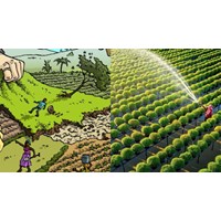 Mẫu bảng giá đất phi nông nghiệp mới nhất theo Nghị định 71/2024/NĐ-CP
