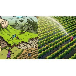 Mẫu bảng giá đất phi nông nghiệp mới nhất theo Nghị định 71/2024/NĐ-CP