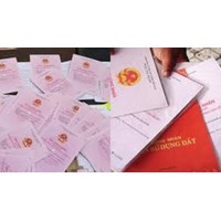 Thủ tục đính chính sổ đỏ, sổ hồng đã cấp như thế nào?