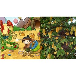 Nội dung, ý nghĩa cốt truyện Cây khế - Ngữ văn lớp 6