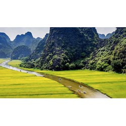 Hoàn cảnh ra đời bài thơ Đất nước của Nguyễn Khoa Điềm
