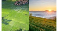 Xác định vị trí đất nông nghiệp trong bảng giá đất như thế nào?