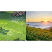Xác định vị trí đất nông nghiệp trong bảng giá đất như thế nào?