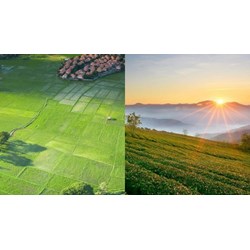 Xác định vị trí đất nông nghiệp trong bảng giá đất như thế nào?