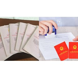 5 mức phạt liên quan đến Sổ đỏ áp dụng từ 04/10/2024