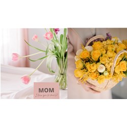 Những bức thư gửi mẹ nhân ngày 20/10 cảm động nhất