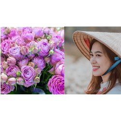 Lời chúc 20 10 cho tất cả phụ nữ hay và ý nghĩa nhất