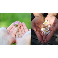 Công đoàn cơ sở có phải tặng quà vào ngày 20/10 không?