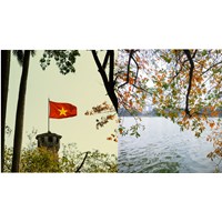 Phân tích vẻ đẹp độc đáo của câu thơ Đôi nhánh khô gầy xương mỏng manh