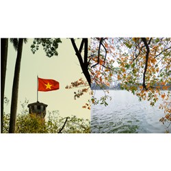 Phân tích vẻ đẹp độc đáo của câu thơ Đôi nhánh khô gầy xương mỏng manh