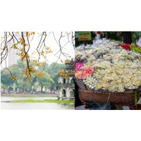 Giới thiệu truyện ngắn Một người Hà Nội của Nguyễn Khải