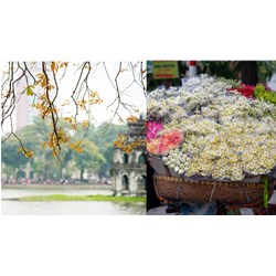 Giới thiệu truyện ngắn Một người Hà Nội của Nguyễn Khải