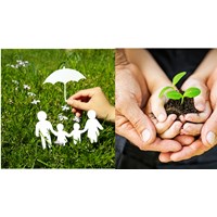 Phân tích Tuyên bố thế giới về sự sống còn, quyền được bảo vệ và phát triển của trẻ em