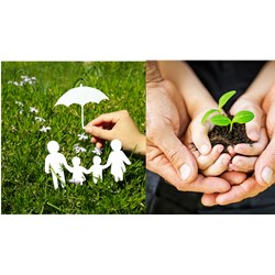Phân tích Tuyên bố thế giới về sự sống còn, quyền được bảo vệ và phát triển của trẻ em