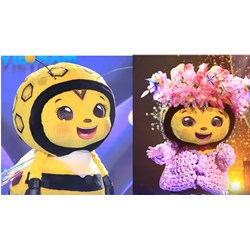 Lời bài hát Bát Cơm Mặn (Ong Bây Bi) The Masked Singer