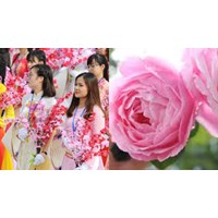Hình ảnh đòi quà 20/10 bá đạo, hài hước nhất năm 2024