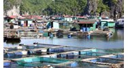 Hạn mức giao đất nuôi trồng thủy sản tại đồng bằng sông Cửu Long