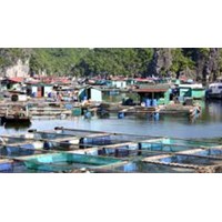 Hạn mức giao đất nuôi trồng thủy sản tại đồng bằng sông Cửu Long