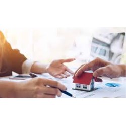 Người gốc Việt Nam định cư ở nước ngoài có được nhận thừa kế quyền sử dụng đất?