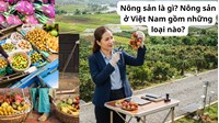 Nông sản là gì? Nông sản ở Việt Nam gồm những loại nào?