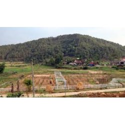 Mức bồi thường đất nông nghiệp không được cấp sổ đỏ