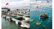 Thời hạn sử dụng của đất nuôi trồng thủy sản mới nhất
