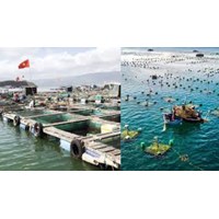 Thời hạn sử dụng của đất nuôi trồng thủy sản mới nhất
