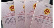 Hạn mức nhận chuyển quyền sử dụng đất nông nghiệp tại TPHCM