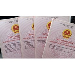 Hạn mức nhận chuyển quyền sử dụng đất nông nghiệp tại TPHCM