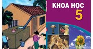 Vở bài tập Khoa học 5 bài 13: Phòng bệnh sốt xuất huyết