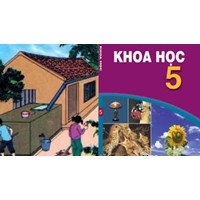 Vở bài tập Khoa học 5 bài 13: Phòng bệnh sốt xuất huyết