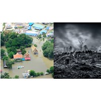 Đối tượng miễn, giảm đóng Quỹ phòng chống thiên tai