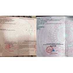 Đã kết hôn có được đứng tên 1 người trên Sổ đỏ không?