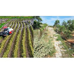 Mức xử phạt hành vi lấn chếm đất mới theo Nghị định 123/2024/NĐ-CP