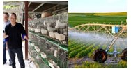 Hồ sơ thực hiện chuyển đổi cơ cấu cây trồng, vật nuôi gồm những gì?
