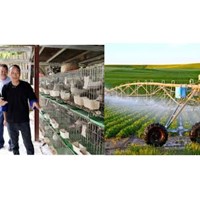 Hồ sơ thực hiện chuyển đổi cơ cấu cây trồng, vật nuôi gồm những gì?