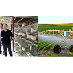 Hồ sơ thực hiện chuyển đổi cơ cấu cây trồng, vật nuôi gồm những gì?