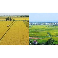 Mẫu bản kê khai diện tích đất chuyên trồng lúa chuyển mục đích sử dụng đất sang đất phi nông nghiệp